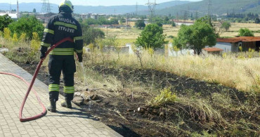 Menteşe'de yol kenarına atılan sigara izmariti yangın çıkardı