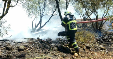 Menteşe’de zeytinlik yangını kontrol altına alındı