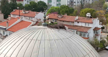 Menteşe'nin Geleneksel Leylek Misafirleri