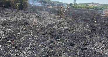Mersin Mut’ta Bahçe Yangını: 15 Dönüm Zarar Gördü