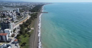 Mersin Sahillerindeki Zehirli Denizanası Tehditi