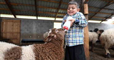Mersin'de bir koyun alamayan aile, sürdürülebilir bir sürü sahibi oldu