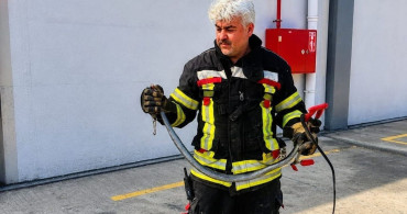 Mersin'de hava sıcaklıkları yılan vakalarını artırdı: 184 müdahale gerçekleşti