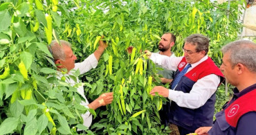 Mersin'de kapya biber üretimi yerinde incelendi