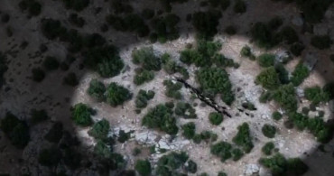 Mersin’de kaybolan 40 küçükbaş dronla bulundu