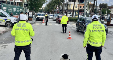 Mersin'de Kucağında Köpekle Araç Kullanan Sürücü Uyarıldı