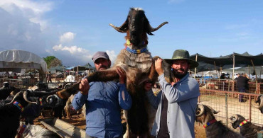 Mersin'de Kurban Pazarı Hareketliliği