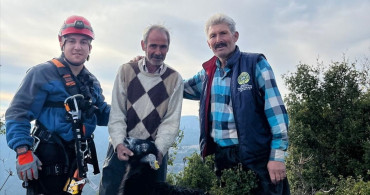 Mersin'de Mahsur Kalan Keçiler Kurtarıldı