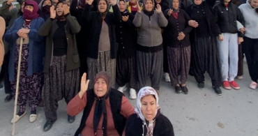 Mersin'de Narenciye Bahçeleri İçin Gerginlik