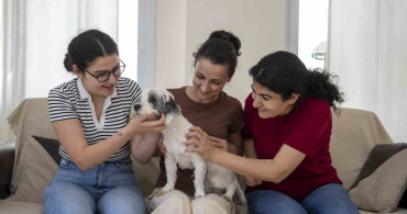 Mersin'de Sahiplendirme Kampanyası: 1.927 Köpek Yeni Yuva Buldu