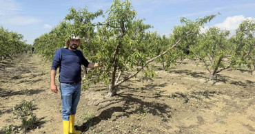 Mersin'de Sel Sonrası Tarım Arazilerinde Yeniden Başlangıç