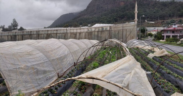 Mersin'de Şiddetli Hava Koşulları: Hortum ve Sağanak Yağış