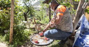 Mersin'de Sokak Hayvanlarına 7 Ton Mama Dağıtıldı