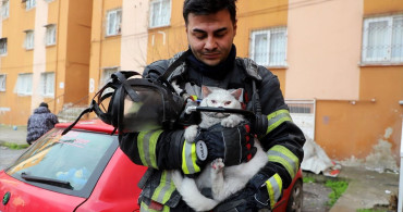 Mersin'de Yangın: Hamile Kedi Kurtarıldı