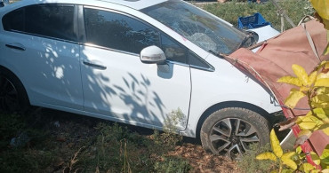 Mersin'de Zeytin Toplayan İşçilere Araç Çarptı
