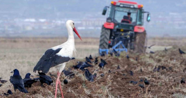 Meteorolojik Uyarı: Zirai Don Tehlikesi