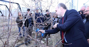 Meyve Ağaçlarında Budama Eğitimi İle Verimlilik Artıyor