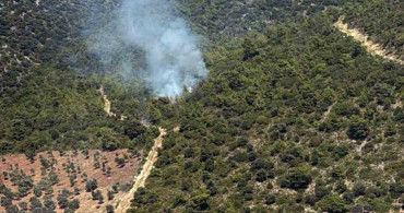Milas Kazıklı Koyu'nda makilik alanda yangın çıktı