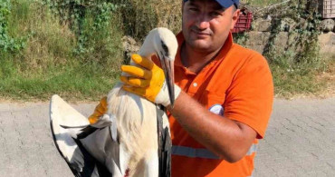 Milas'ta temizlik personelinin duyarlılığı yaralı leyleğe umut oldu