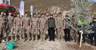 Milli Ağaçlandırma Günü'nde Fidanlar Toprakla Buluştu