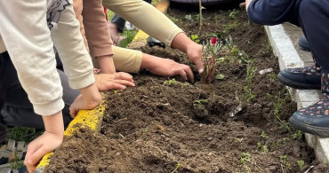 Minik Eller Fidan Dikti