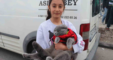 Minik Taraftar ve Kedisi Bursaspor İçin Stadyumda