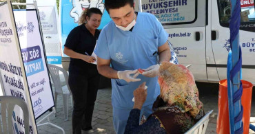 Mobil diş klinikleri üç ilçede vatandaşlarla buluştu