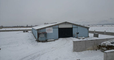 Modern Hayvancılığa Geçiş: Erzincanlı Girişimcinin Başarısı