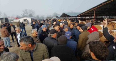 Mudurnu Hayvan Pazarı'nda Hararetli Pazarlıklar