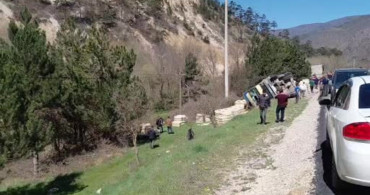 Mudurnu'da Tavuk Yüklü Kamyon Devrildi