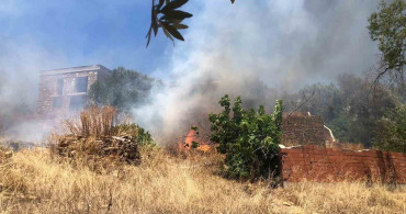 Muğla bodrumda rüzgar etkisiyle büyüyen yangın 1 saatte söndürüldü
