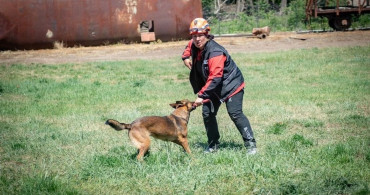 Muğla NAK Arama Kurtarma Köpekleri Macaristan'da Uluslararası Eğitimde Başarı Elde Etti
