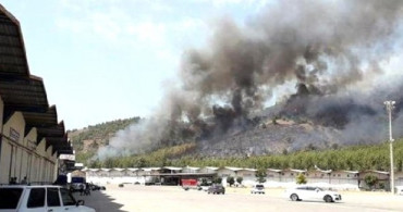 Muğla'da 3'üncü Kez Orman Yangını !
