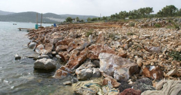Muğla'da Denize Moloz Döken Kişi Yakalandı