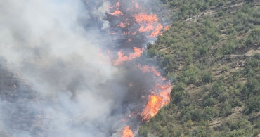 Muğla’da korkutan orman yangını: Olay yerine birçok ekip sevk edildi
