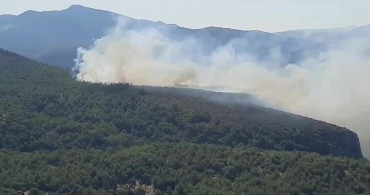 Muğla’da orman yangını: Hava ve karadan yoğun müdahale ediliyor