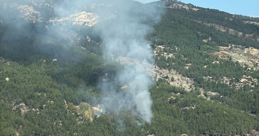 Muğla'da Orman Yangını: Havadan ve Karadan Mücadele