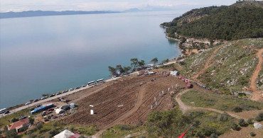 Muğla'da Orman Yangını Sonrası Yeşil Alanların Yeniden Canlandırılması
