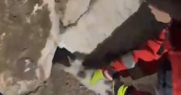 Muğla’da taş duvara sıkışan kedi itfaiye tarafından kurtarıldı