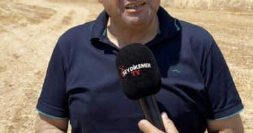 Muğla'da zirai alanda başlayan yangın ormana sıçradı, söndürme çalışmaları devam ediyor