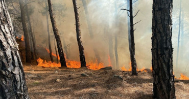 Muğla'daki Orman Yangını Kontrol Altına Alındı