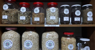 Muğla'dan 22 Milyon Yerel Tohum Dağıtımı