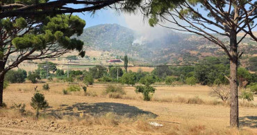 Muğla'nın Kavaklıdere ilçesinde orman yangını başladı