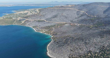 Muğla'nın Milas ilçesinde orman yangını kontrol altına alındı