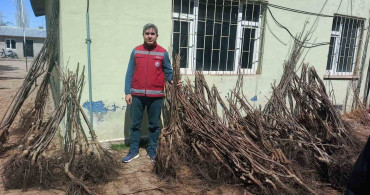 Muradiye'de 50 Bin Adet Hibeli Meyve Fidanı Dağıtıldı
