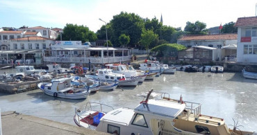Müsilaj Tatil Cenneti Bozcaada'da Da Görüldü!