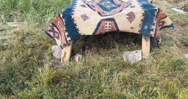 Muş'lu çobana yasadışı keklik beslemekten 67 bin TL ceza