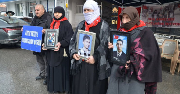 Muş'ta Evlat Nöbeti Devam Ediyor