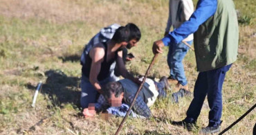 Muş'ta iki köy arasında arazi kavgası: 2 yaralı