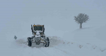Muş'ta Kar Yağışı 55 Köy Yolunu Kapatmış Durumda
